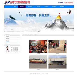 物流公司網(wǎng)站設(shè)計(jì) 打造高效、專業(yè)的數(shù)字門戶