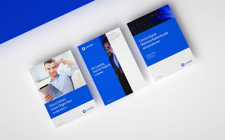 科技信息公司的VI與網(wǎng)頁設(shè)計(jì) 塑造數(shù)字化品牌形象的雙重引擎